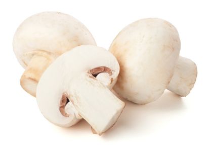 Bild von Champignon mittel hell 3kg