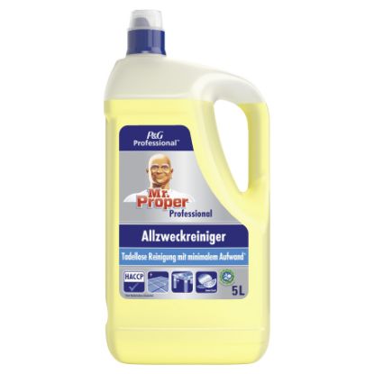 Bild von Meister Proper 5L