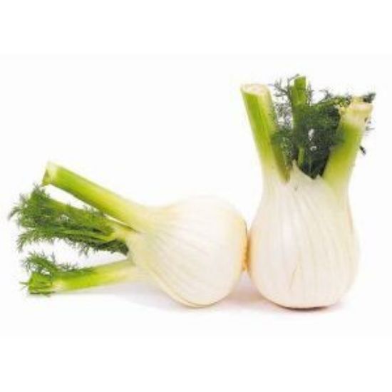 Bild von Fenchel frisch 12er 5kg