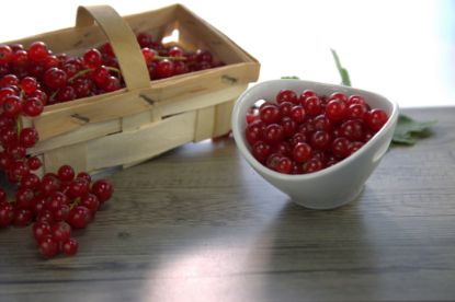 Bild von Johannisbeeren,rot,freirollend