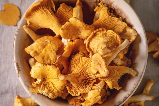 Bild von TK Pfifferlinge mittel 5x1kg