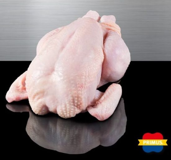 Bild von Griller, holl.HKL A 10x1.200g mit der Beschreibung PRIMUS