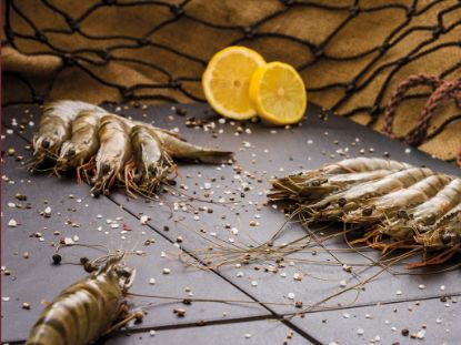 Bild von BT Gambas 21/30 10x1kg mit der Beschreibung mit Kopf mit Schale