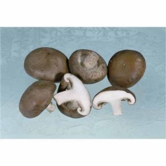 Bild von Shi Take Pilze 2 kg mit der Beschreibung Vorbestellung bitte 3 Werktage