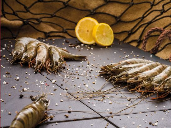 Bild von BT Gambas 21/30 10x1kg mit der Beschreibung mit Kopf mit Schale