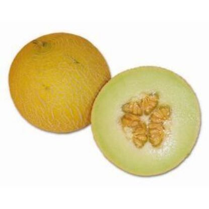 Bild von Galia Melone  4er mit der Beschreibung Vorbestellung bitte 3 Werktage