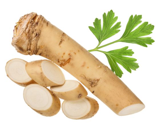 Bild von FRISCH Meerrettich-Stange mit der Beschreibung Vorbestellung bitte 3 Werktage