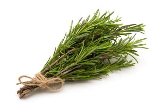 Bild von Rosmarin-Zweige 120 g mit der Beschreibung Vorbestellung bitte 3 Werktage