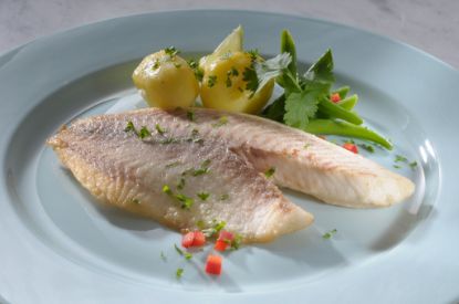 Bild von Tilapia-Filet (Buntbarsch) 5 kg mit der Beschreibung 140/160g