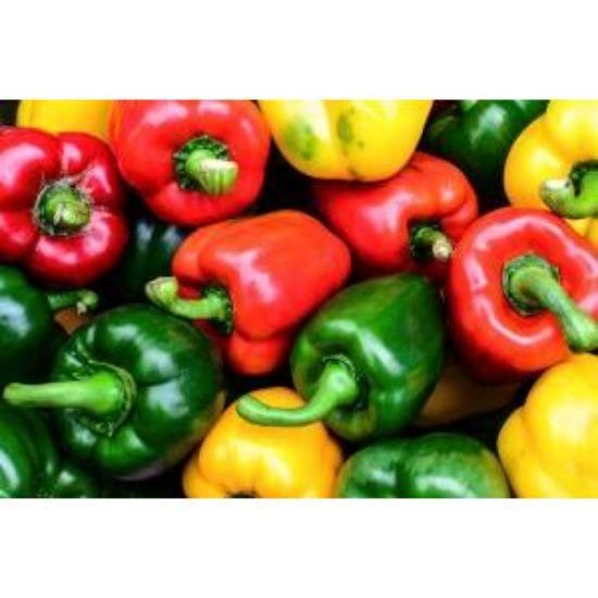 Bild von Mix Paprika rot/grün/gelb 5 kg mit der Beschreibung Vorbestellung bitte 3 Werktage