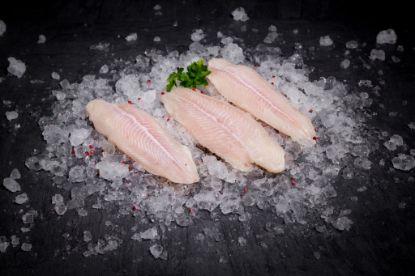 Bild von Pangasiusfilet 10x1kg mit der Beschreibung 170/230g