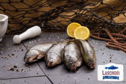 Forelle 260/280g ausgenommen, mit Gräten 5kg