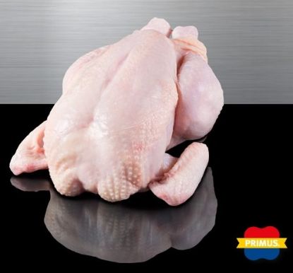 Bild von Griller, holl. HKL A, nackt, gesteckt 10x1.200g mit der Beschreibung PRIMUS