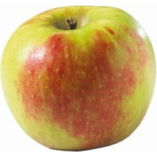 Bild von Elstar 65/75    11 kg mit der Beschreibung Vorbestellung bitte 3 Werktage