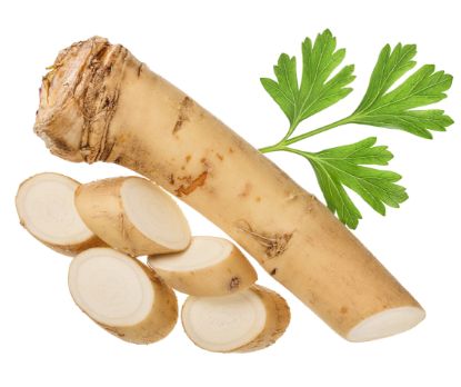 Bild von FRISCH Meerrettich-Stange mit der Beschreibung Vorbestellung bitte 3 Werktage