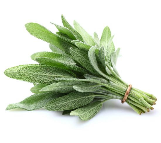 Bild von Salbei Box 120 g mit der Beschreibung Vorbestellung bitte 3 Werktage