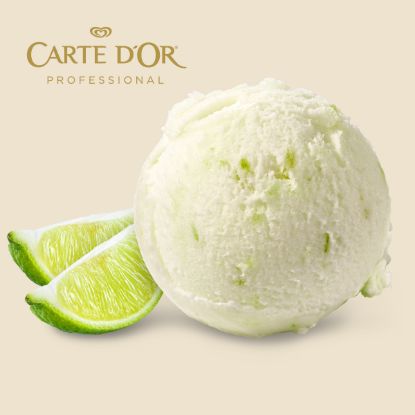 Bild von CDO 2x2,4L Sorbet Limette mit der Beschreibung Limettensorbet mit Limettenfruchtfleisch, Fruchtanteil 31%