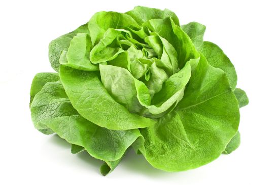 Bild von Kopf-Salat 12 St. Kl.I mit der Beschreibung Vorbestellung bitte 3 Werktage