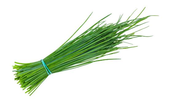 Bild von Schnittlauch FRISCH  100g/Bd. mit der Beschreibung Vorbestellung bitte 3 Werktage