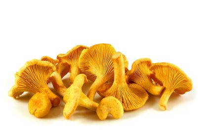 Bild von FRISCHE Pfifferlinge mittel1kg mit der Beschreibung Vorbestellung bitte 3 Werktage - TAGESPREIS
