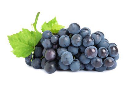 Bild von Trauben BLAU kernlos 5 kg mit der Beschreibung Vorbestellung bitte 3 Werktage