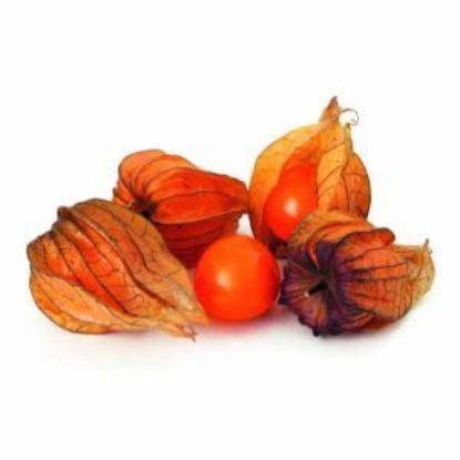 Bild von Physalis Schale 100g mit der Beschreibung Vorbestellung bitte 3 Werktage