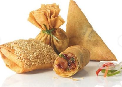 Bild von 4 Asian Delights Selection 4x1,6kg/Kt. 1,6kg = 4 x 20 St. mit der Beschreibung SALOMON