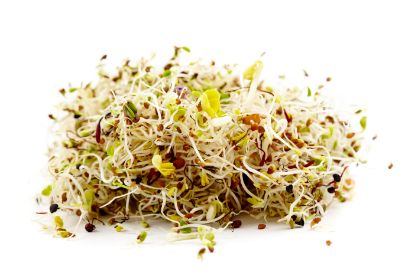 Bild von Mungobohnen-Sprossen 1 kg mit der Beschreibung Bestellvorlauf 3 Werktage