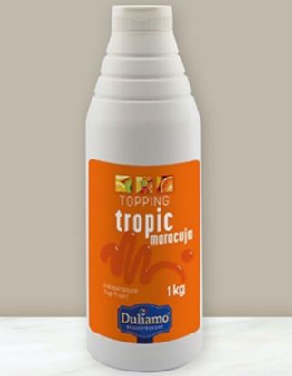 Bild von Eissauce Maracuja 1kg
