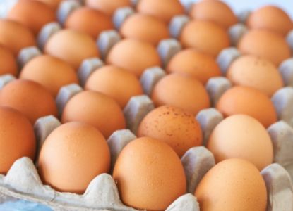 Bild von Eier,frisch, 30 St. Größe L mit der Beschreibung Bodenhaltung